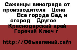 Саженцы винограда от производителя › Цена ­ 800 - Все города Сад и огород » Другое   . Краснодарский край,Горячий Ключ г.